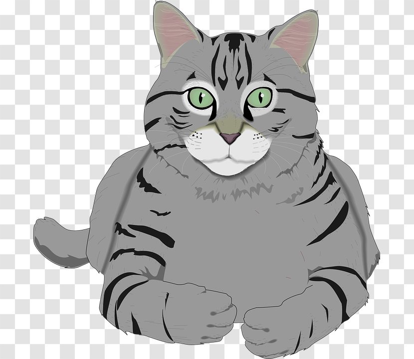 Cat Grey Clip Art - Cartoon Transparent PNG