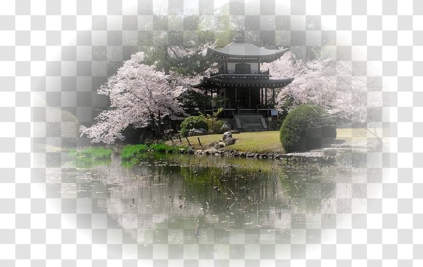 Japanese Cuisine Spring Hanami Cherry Blossom - Frame - Japan Transparent PNG