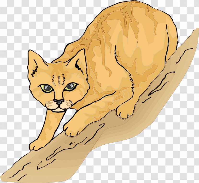 Cat Fennec Fox Small To Medium-sized Cats Clip Art Tail - Wet Ink - Kitten Drawing Transparent PNG