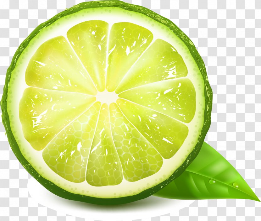 Juice Lemon Green Euclidean Vector - Fresh Transparent PNG