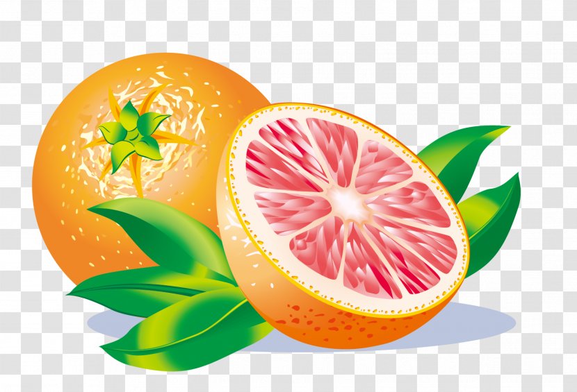 Grapefruit Juice Lemon Clip Art - Vector Transparent PNG