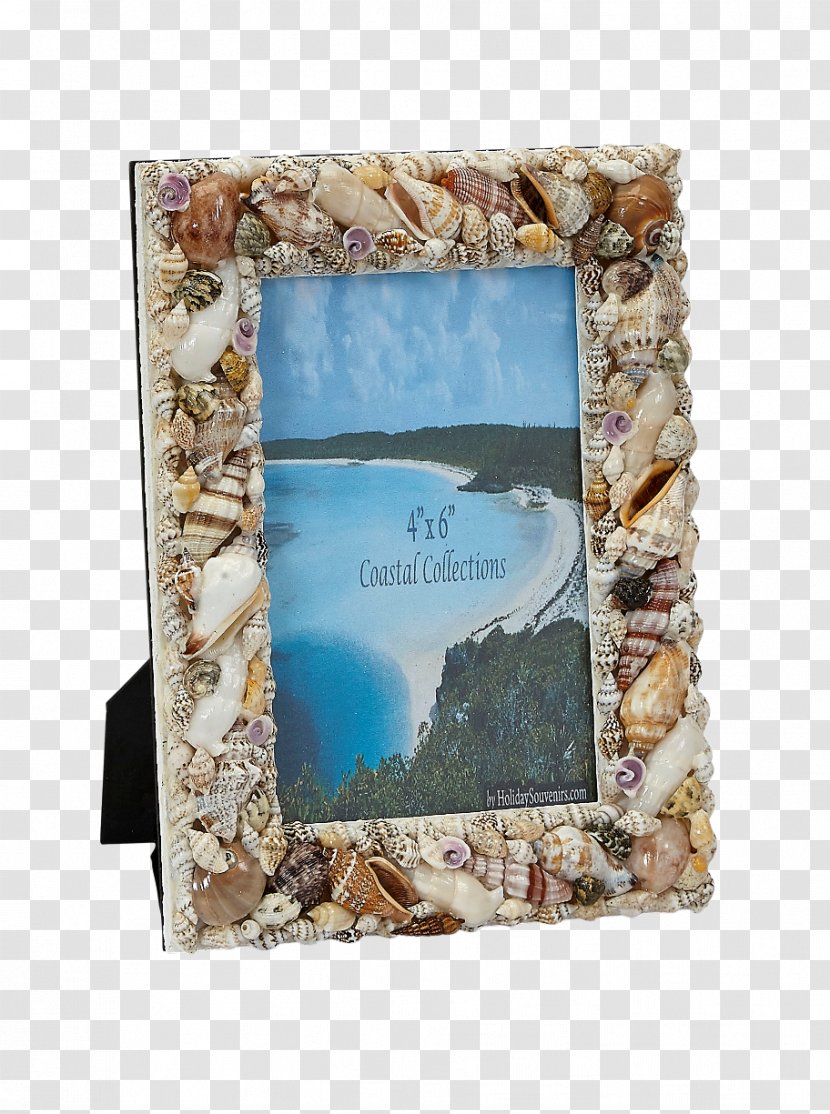 Picture Frames Seashell Glass Beach - Frame Transparent PNG
