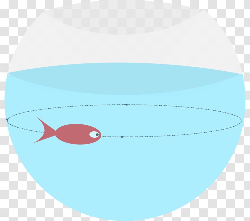 Line Angle Product Design Graphics - Marine Mammal - Rappel Transparent PNG