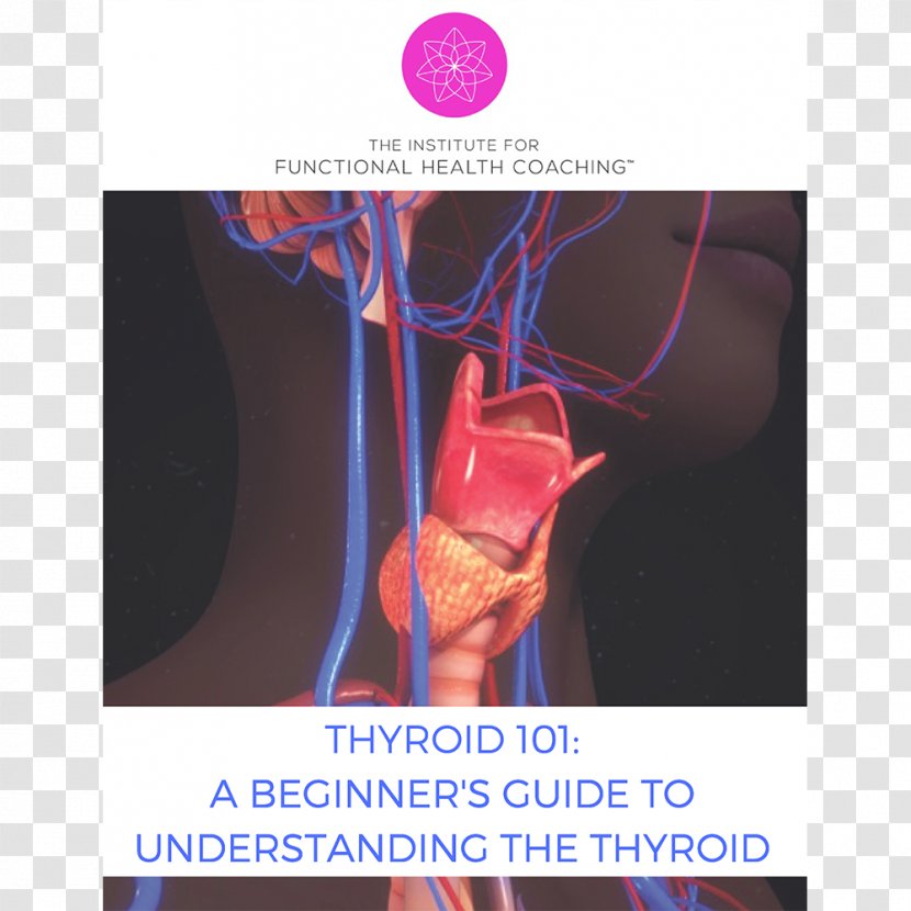 Thyroid Nodule Stock Photography Disease Hypothyroidism - Frame - Health Transparent PNG