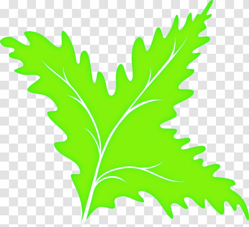 Green Leaf Background - Plant - Herb Plane Transparent PNG