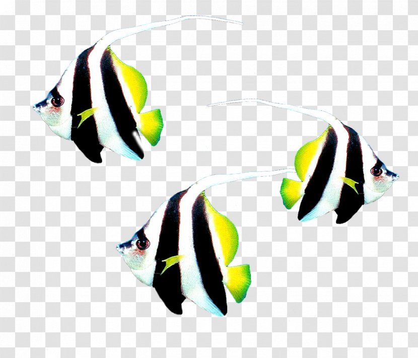 Fish Digital Image Clip Art - Sea - Gold Transparent PNG