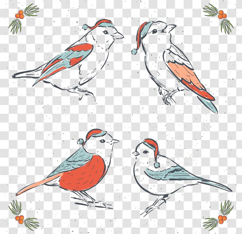 Bird Drawing Euclidean Vector Illustration - Feather - Four Hands Painted Birds In Winter Transparent PNG
