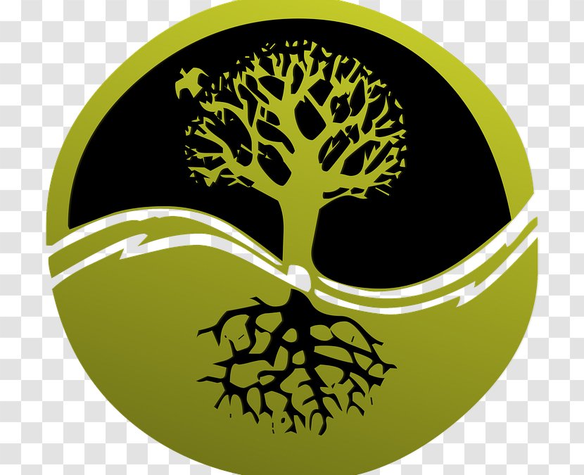 Root Tree Clip Art - Royaltyfree Transparent PNG