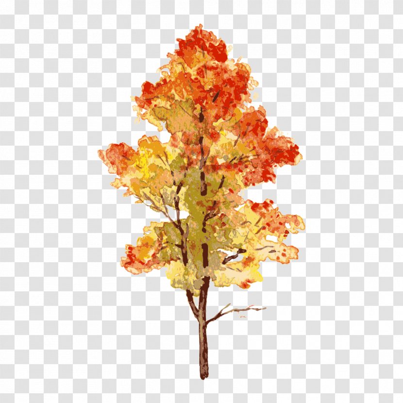 Autumn Leaf - Tree,Trees Transparent PNG