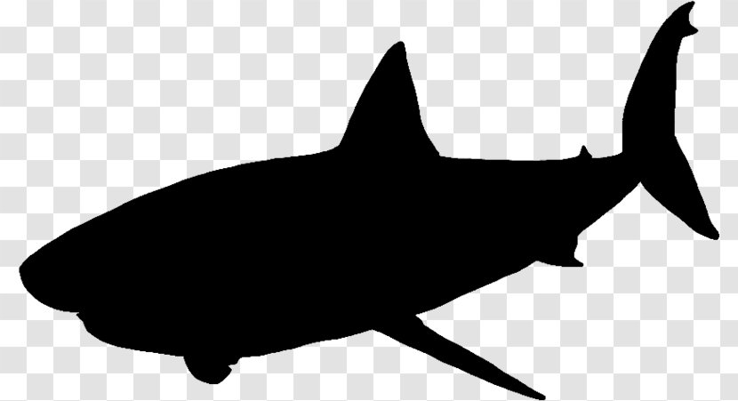 Great White Shark Vector Graphics Silhouette - Cartilaginous Fish - Baby Grandpa Transparent PNG