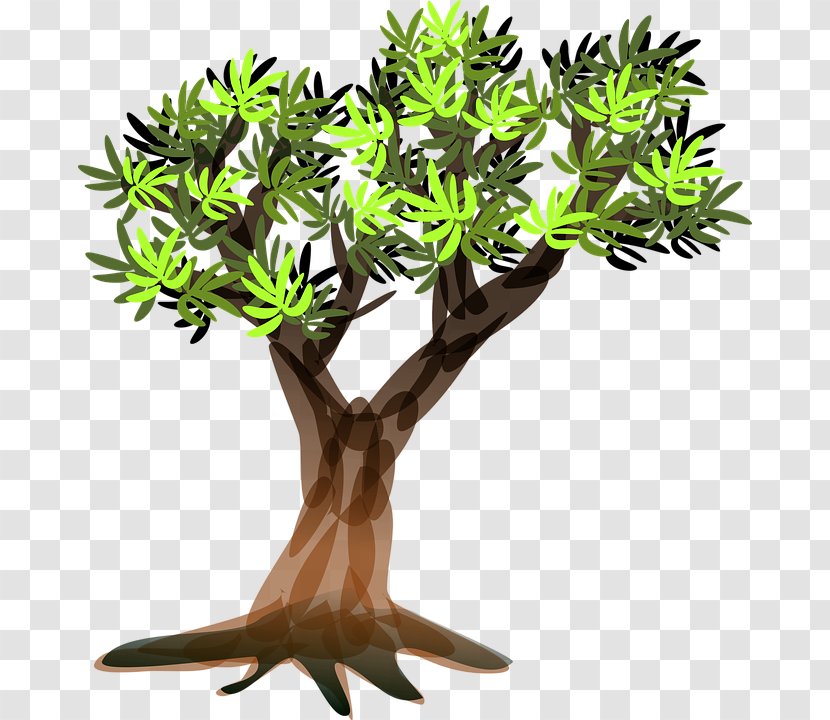 Clip Art Vector Graphics Tree Branch - Flowerpot - Background Transparent PNG