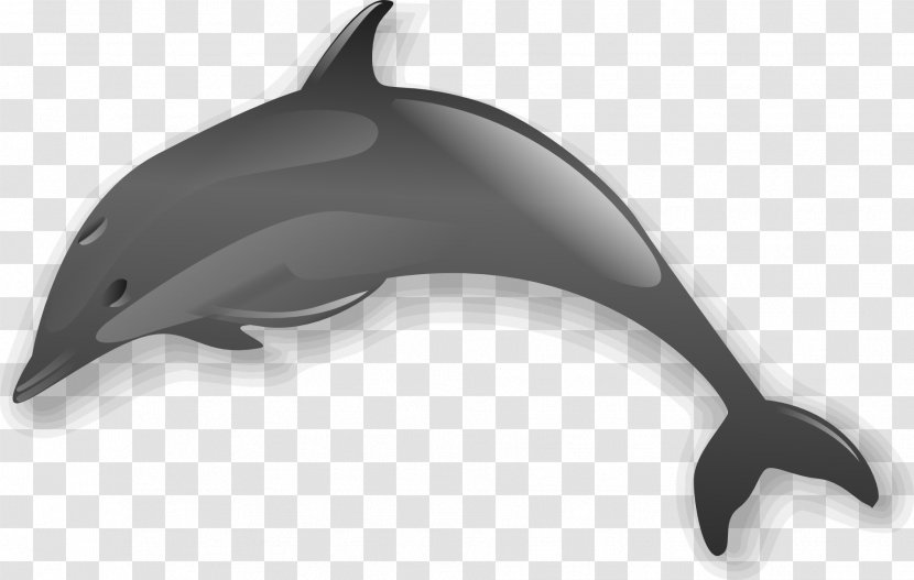 Bottlenose Dolphin Clip Art Transparent PNG