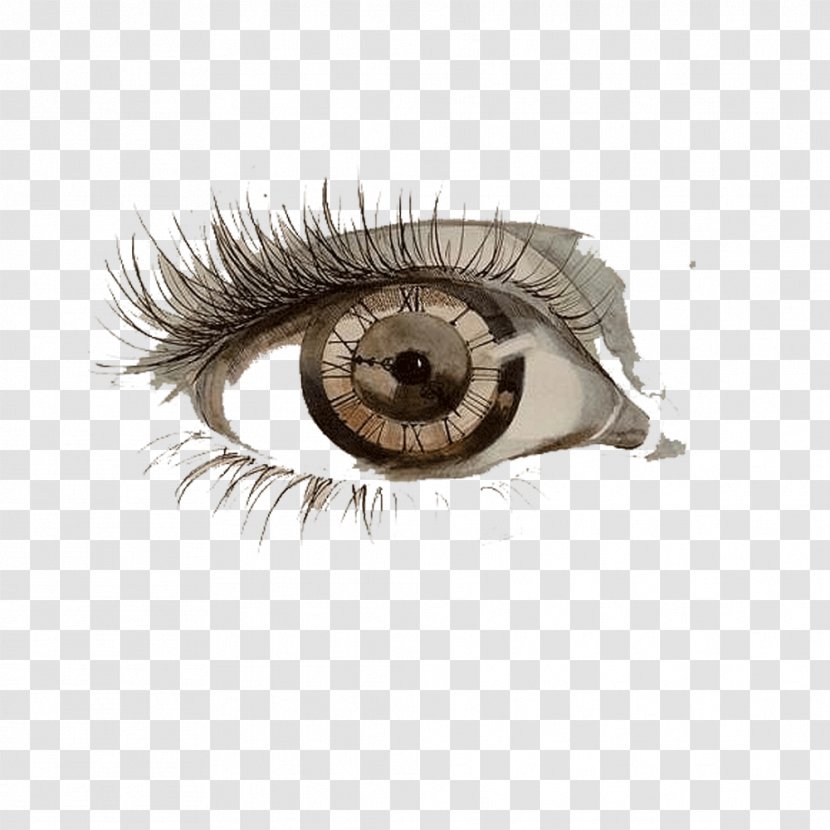 Drawing Eye Painting Art Sketch - Brown - United States Pupil Eyes Wearing Curly Eyelashes Transparent PNG