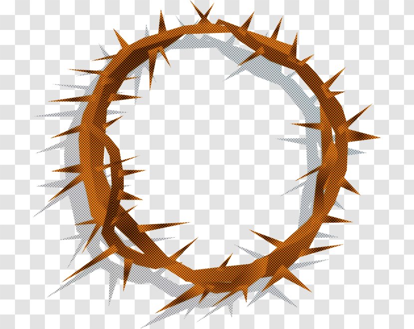 Thorns, Spines, And Prickles Circle - Thorns Spines Transparent PNG