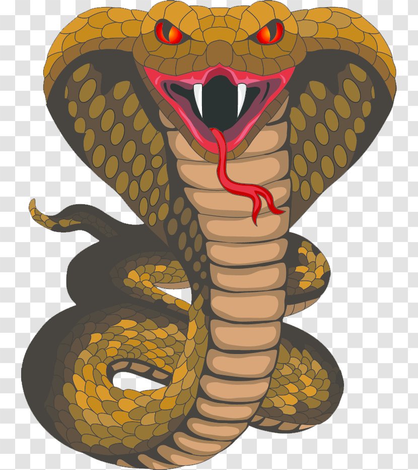 King Cobra Snake Clip Art - Mascot Cliparts Transparent PNG