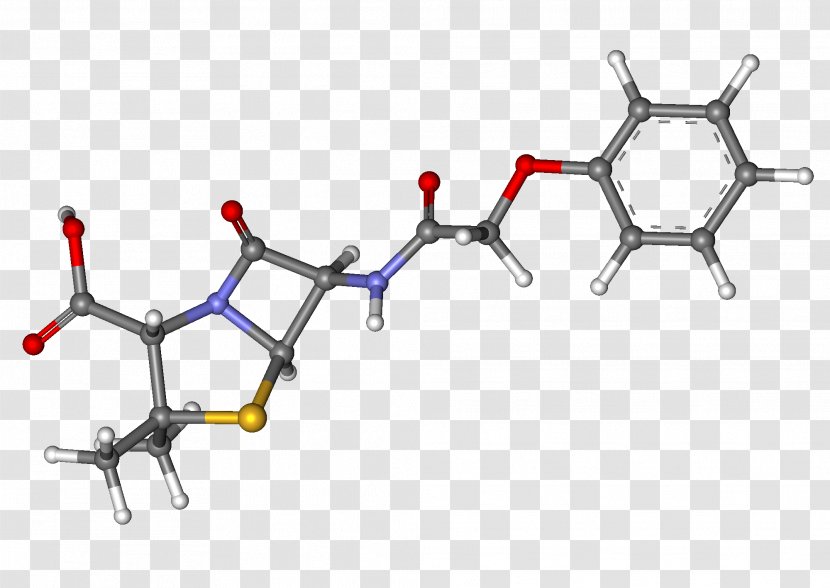 Phenoxymethylpenicillin Ceftazidime Rivaroxaban Amoxicillin - Silhouette - Hen Transparent PNG