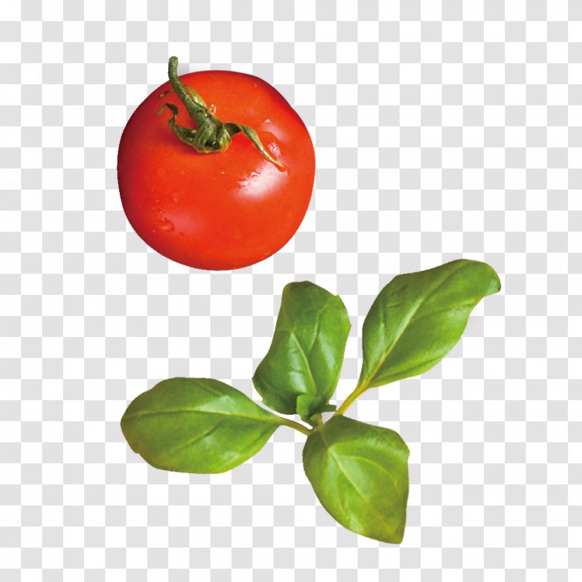 Tomato Red Rouge Tomate - Diet Food - Tomatoes Transparent PNG