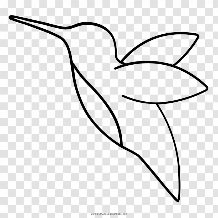 Hummingbird Drawing Beak Black And White Clip Art - Monochrome - Flower Transparent PNG
