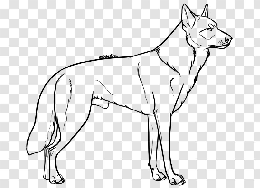 Dog Breed Line Art German Shepherd Puppy Drawing - Monochrome Transparent PNG