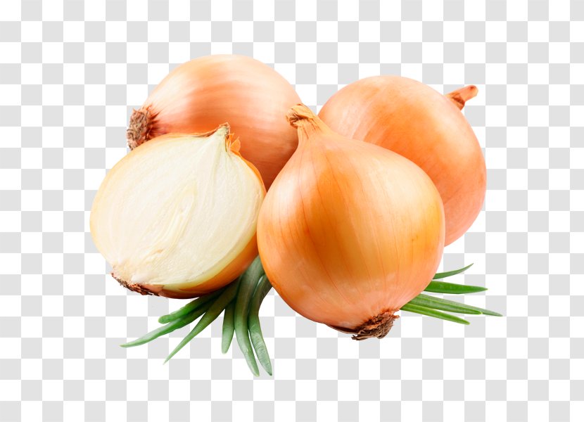 Vegetable Yellow Onion Food Ugam Exports Product - Company Transparent PNG