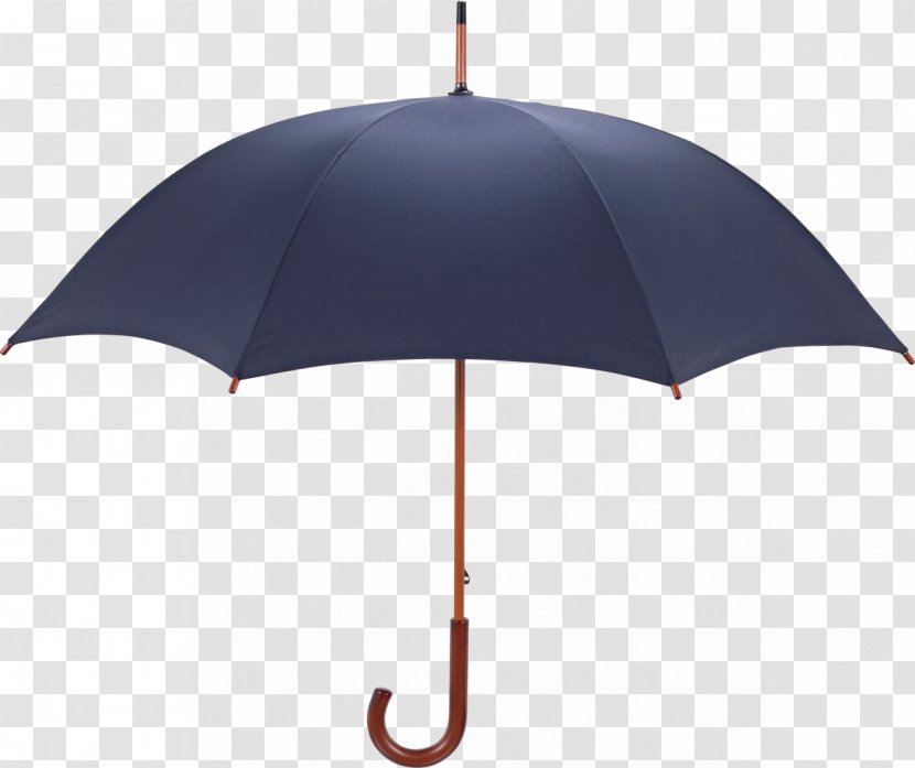 Umbrella Stock Photography - Fox Umbrellas Transparent PNG
