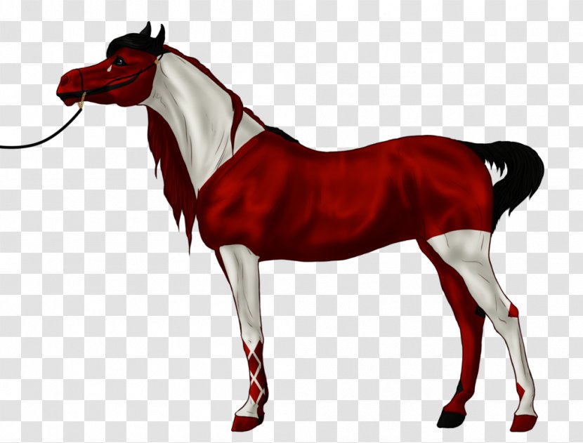 Rein Stallion Mustang Mare Horse Harnesses - Yonni Meyer Transparent PNG