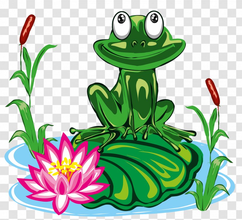Tree Frog True Toad Clip Art - Organism Transparent PNG
