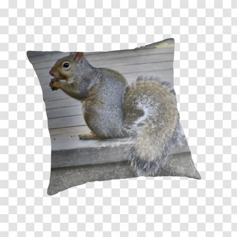 Squirrel Cushion Throw Pillows Fauna Transparent PNG