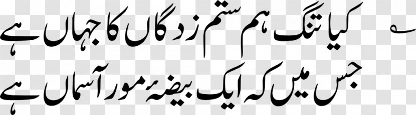 Urdu Alphabet Nastaʿlīq Script Punjabi Language - Beak - Arabic Transparent PNG