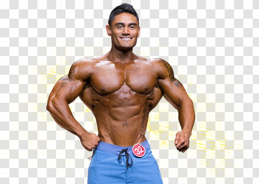 2017 Mr. Olympia International Federation Of BodyBuilding & Fitness Physical And Figure Competition - Flower - Bodybuilding Transparent PNG
