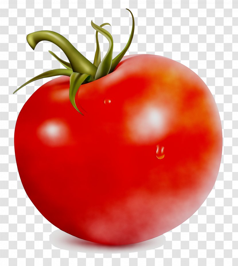 Tomato Vegetable Food Strawberry Fruit - Lycopersicon - Bush Transparent PNG