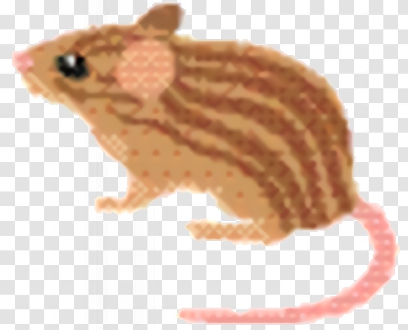 Hamster Background - Fawn - Pest Transparent PNG