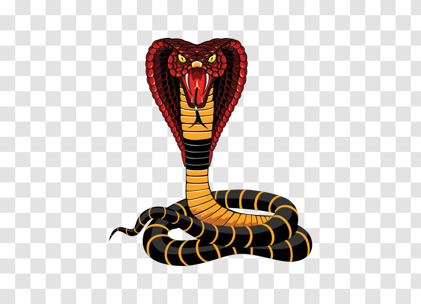 Snake Serpent King Cobra Reptile Elapidae Transparent PNG