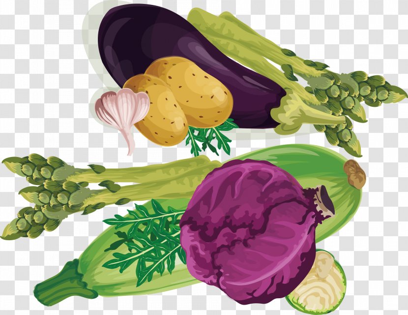Leaf Vegetable Purple Vegetarian Cuisine - Red Cabbage Transparent PNG