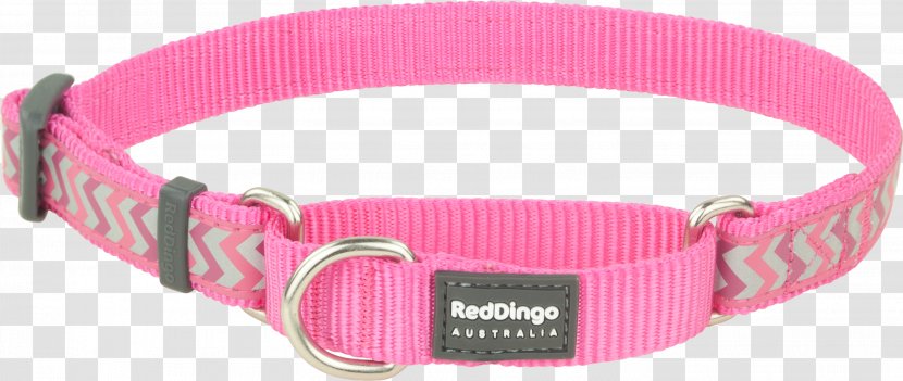 Dingo Dog Collar Canaan Norwegian Lundehund Martingale - Red Transparent PNG