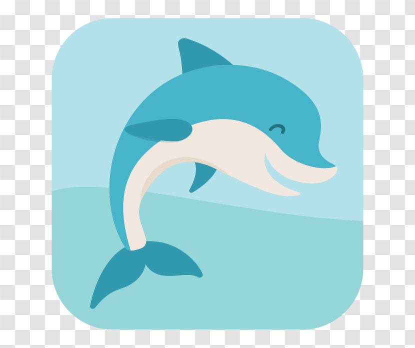 Porpoise Common Bottlenose Dolphin Short-beaked Tucuxi - Whale - Under Sea Transparent PNG