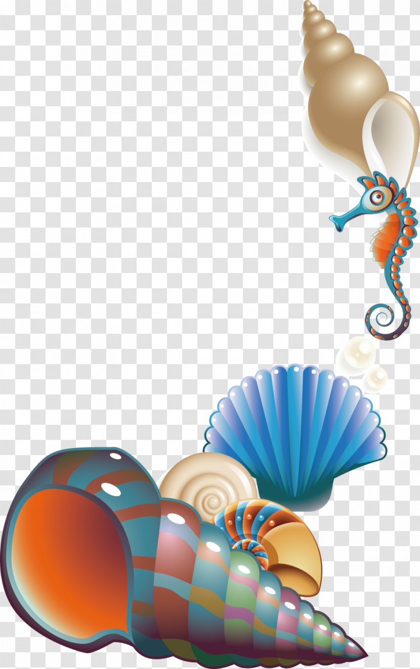 Seashell Poster Clip Art - Sea - Shell Marine Hippocampus Creative Posters Transparent PNG