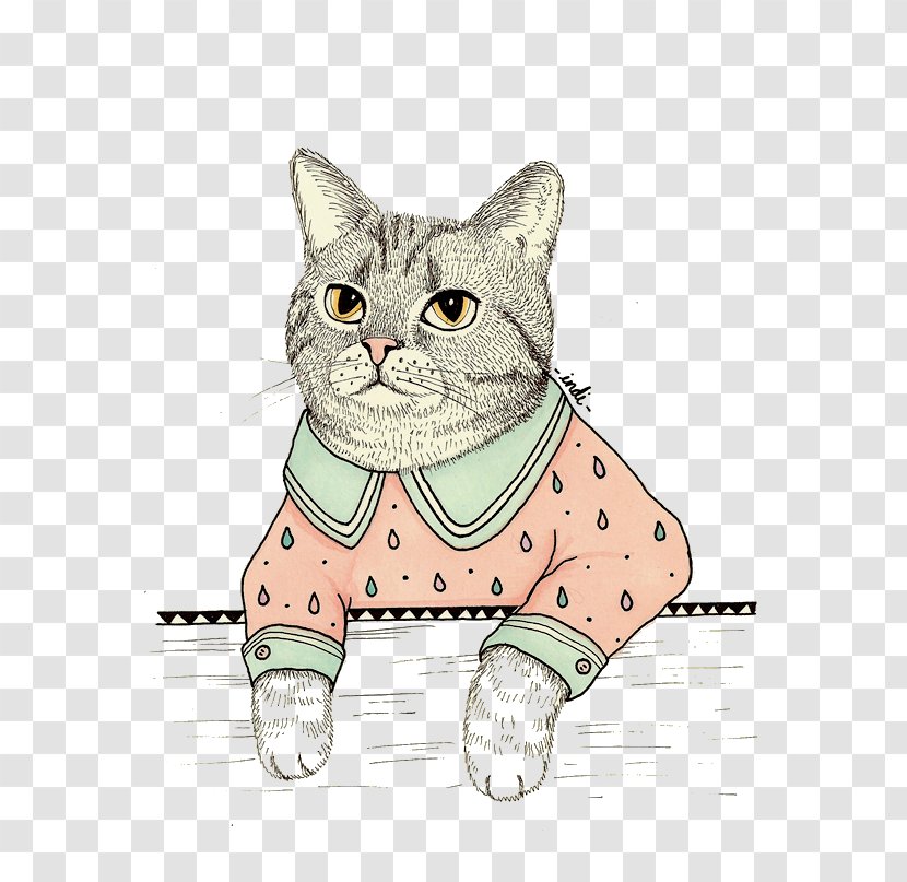 Kitten Whiskers Domestic Short-haired Cat Tabby - Small To Medium Sized Cats Transparent PNG