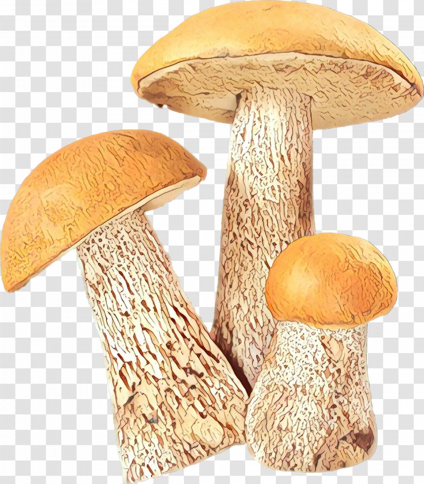 Edible Mushroom Fungus Vector Graphics Clip Art - Matsutake - Shiitake Transparent PNG