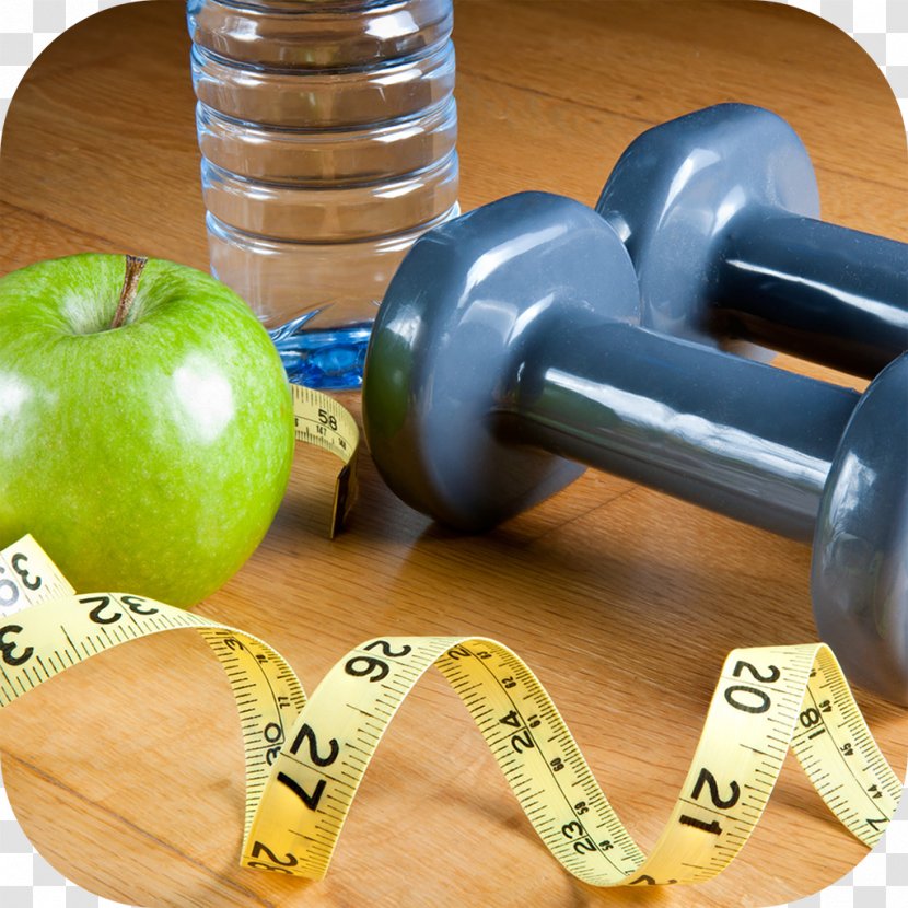 Weight Loss Physical Exercise Dieting Management Healthy Diet - Fit Transparent PNG