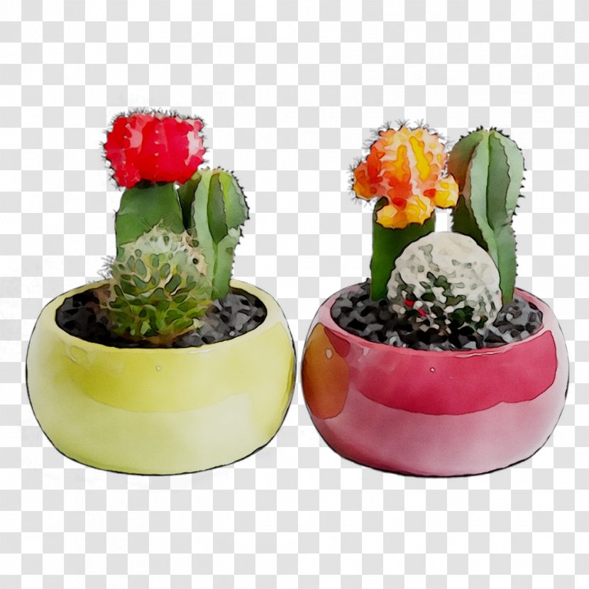 Cactus Flowerpot Succulent Plant Houseplant Garden - Plants Transparent PNG