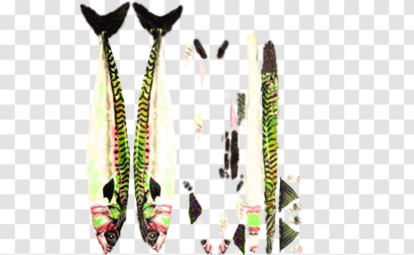 Ski Bindings Mackerel Feather Transparent PNG