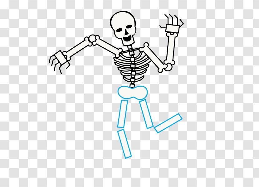 Human Skeleton Drawing Cartoon Bone Transparent PNG