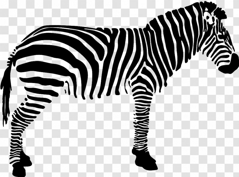 Quagga Black And White Zebra - Neck Transparent PNG
