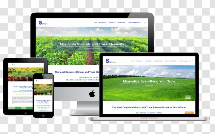 Web Page Design Digital Marketing Website World Wide - Computer Monitors Transparent PNG