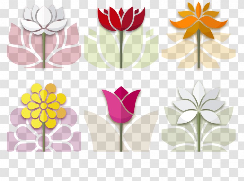 Flower Drawing Illustration - Color - Vector Fresh Lotus Transparent PNG