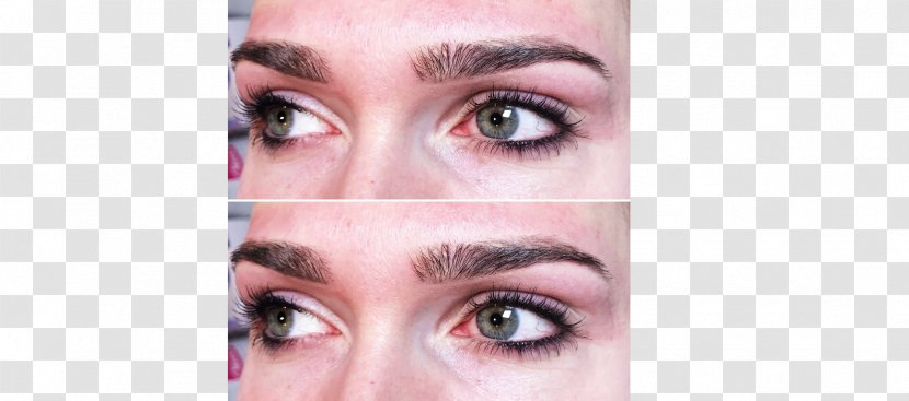 Eyelash Microblading Eyebrow Face Cosmetics - Silhouette Transparent PNG