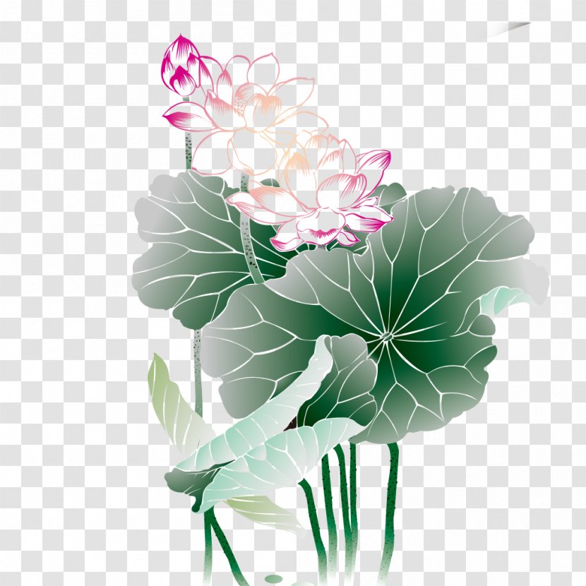 China Battery Charger - Seed Plant - Lotus Transparent PNG