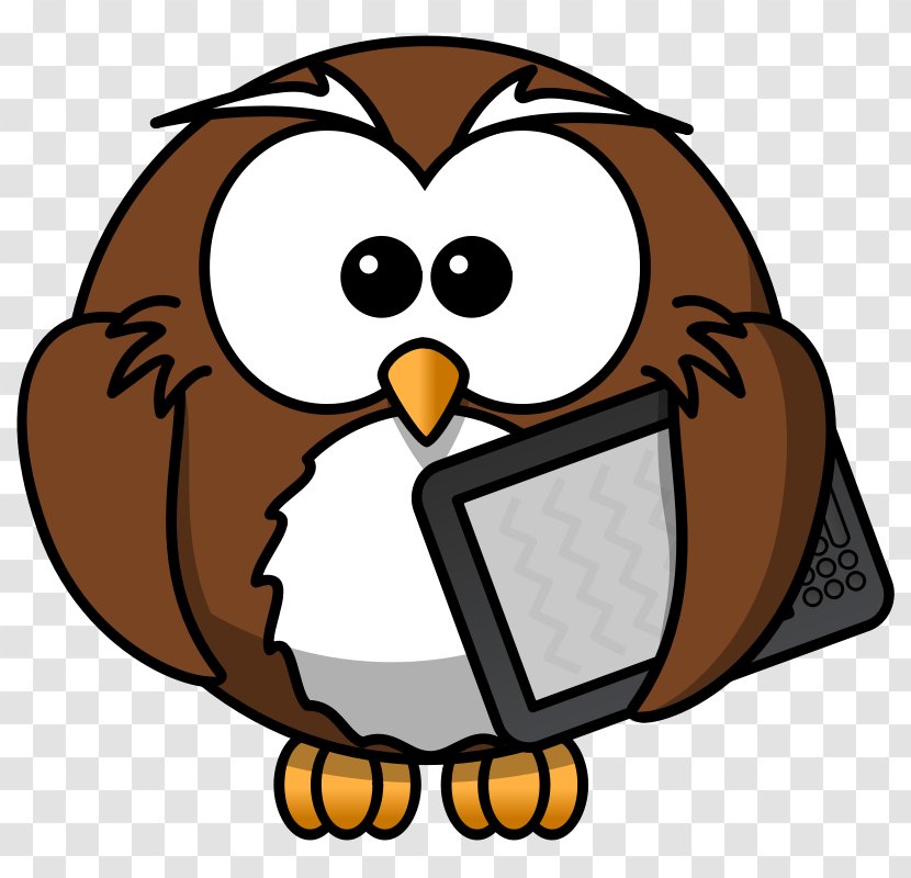 Owl Bird Barnes & Noble Nook Sandling Primary School E-book - Cartoon Pictures Of Owls Transparent PNG
