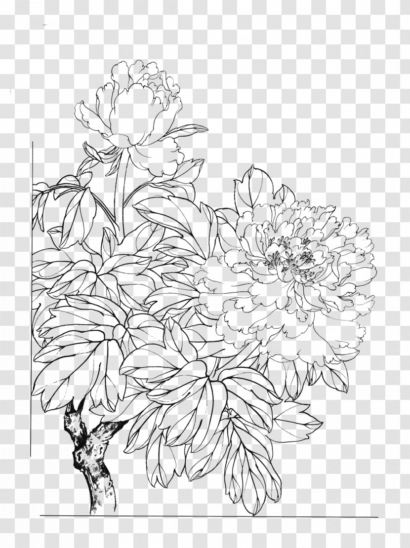 Floral Design Line Art Flower - Peony Transparent PNG